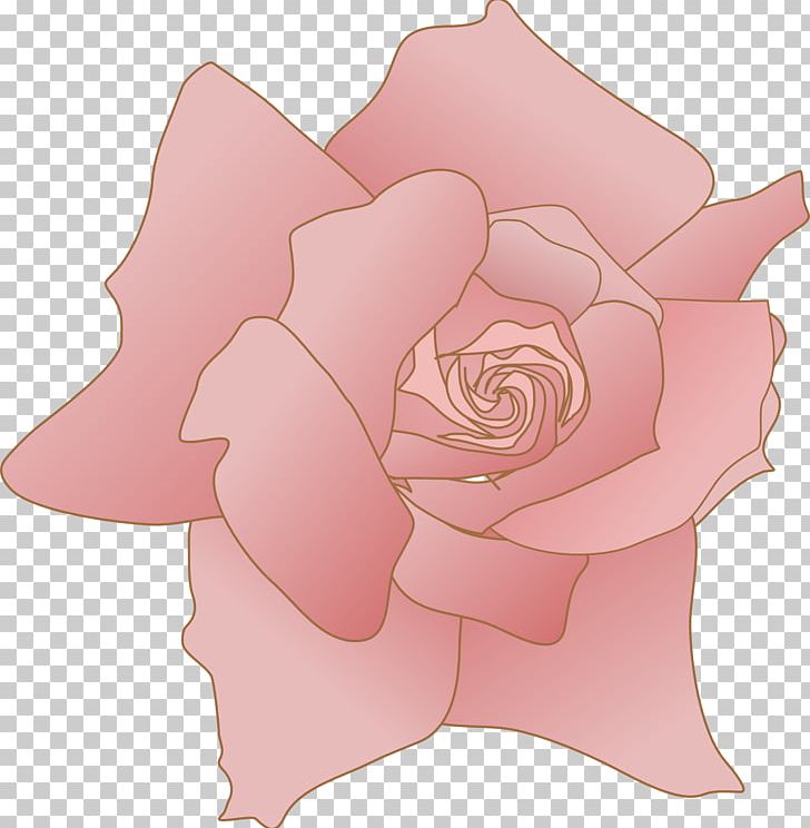 Garden Roses Drawing Cabbage Rose PNG, Clipart, Art, Computer Icons, Cut Flowers, Desktop Wallpaper, Drawing Free PNG Download