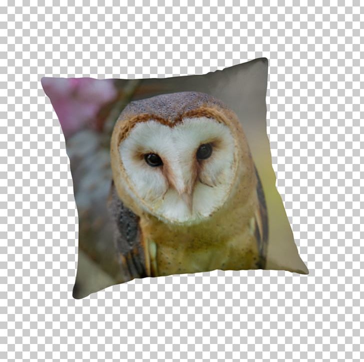 Owl Throw Pillows Cushion Snout PNG, Clipart, Barn Owl, Beak, Bird, Bird Of Prey, Cushion Free PNG Download