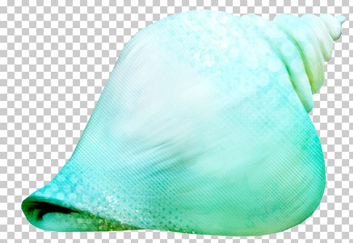 Sea Snail PNG, Clipart, Aqua, Background Green, Beach, Beach Conch, Conch Free PNG Download