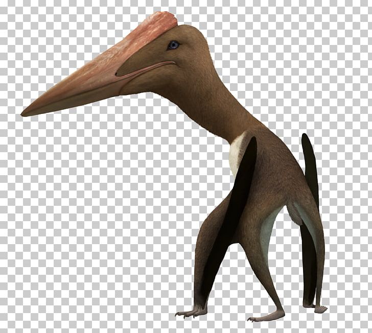 Bogolubovia Quetzalcoatlus Hațeg Island Azhdarcho Arambourgiania PNG, Clipart, 500 X, Alanqa, Animal, Azhdarchidae, Beak Free PNG Download