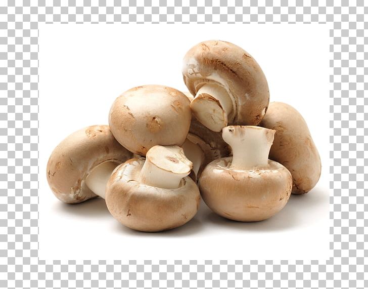 Common Mushroom Edible Mushroom How To Grow Mushrooms Oyster PNG, Clipart, Agaricaceae, Agaricomycetes, Agaricus, Boletus Edulis, Button Free PNG Download