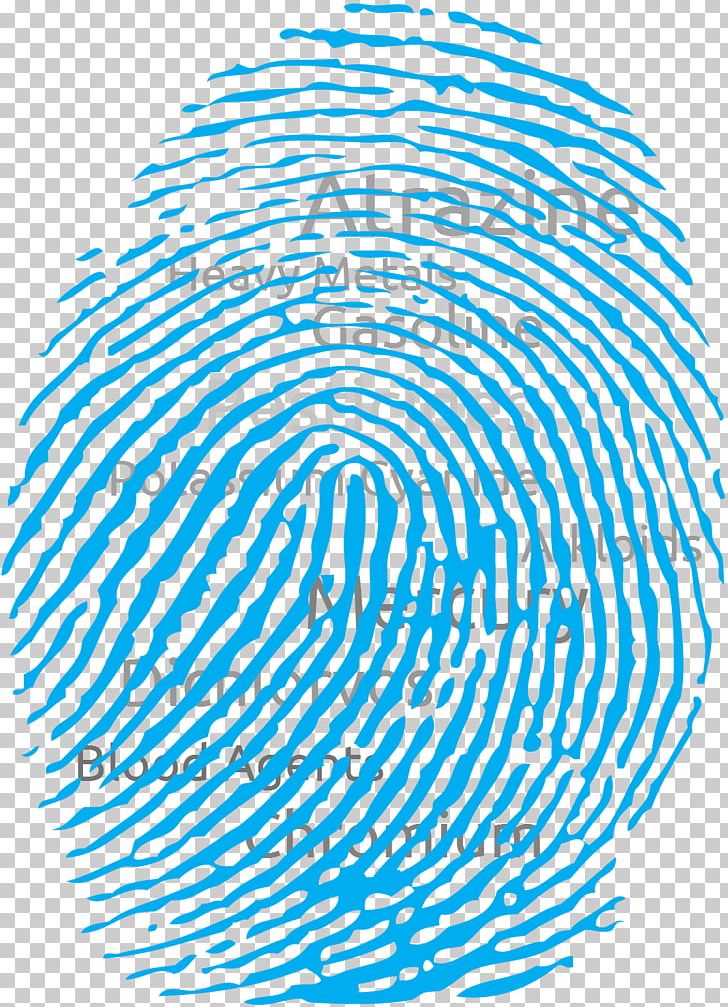 Fingerprint PNG, Clipart, Area, Black And White, Circle, Clip Art, Color Free PNG Download