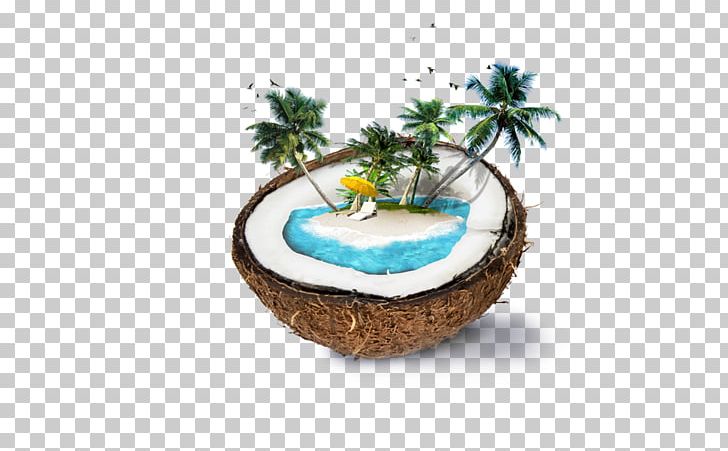 Nadi Weligama Coconut Water Coconut Milk PNG, Clipart, Beach, Beach Party, Coco, Coconut, Coconut Oil Free PNG Download