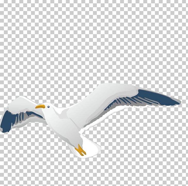 Homing Pigeon Columbidae Flight Bird European Herring Gull PNG, Clipart, Animals, Beak, Book, Charadriiformes, Concepteur Free PNG Download