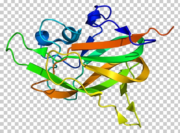 Neuropilin 1 Receptor Semaphorin Vascular Endothelial Growth Factor PNG, Clipart, Area, Artwork, Axon Guidance, Gene, Line Free PNG Download