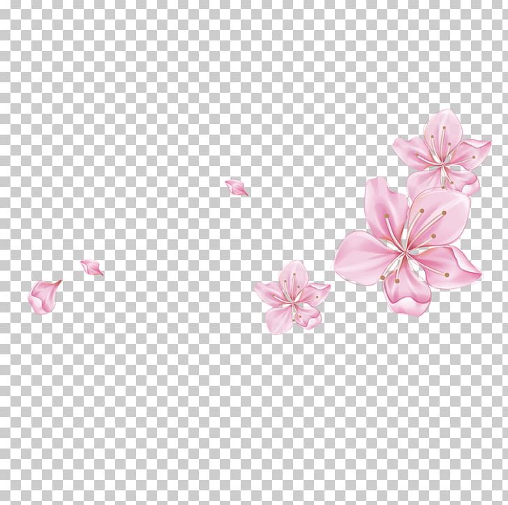 Petal PNG, Clipart, Blossom, Computer Graphics, Download, Float, Floating Free PNG Download