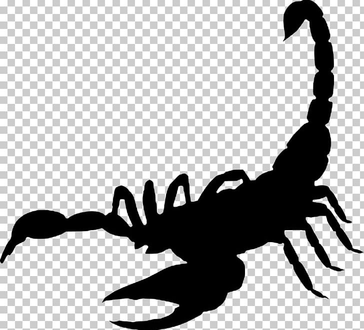 Scorpion PNG, Clipart, Arachnid, Arthropod, Artwork, Autocad Dxf, Black And White Free PNG Download