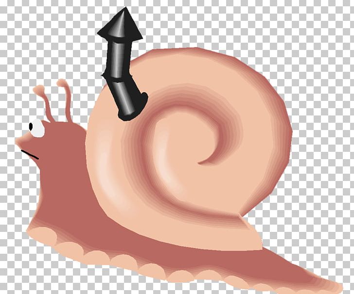 Snail Gastropods Gastropod Shell Blog PNG, Clipart, Animal, Blog, Cartoon, Child, Ear Free PNG Download