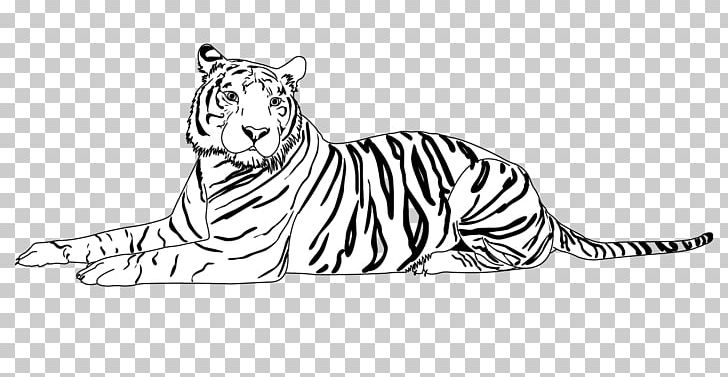 Tiger Whiskers Lion Cat Line Art PNG, Clipart, Animal, Animal Figure, Animals, Art, Artwork Free PNG Download