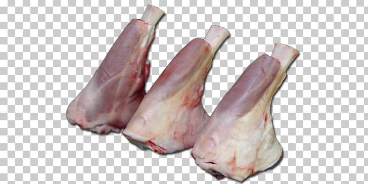 Bacon Ham Lamb And Mutton Shank Meat PNG, Clipart, Animal Fat, Animal Source Foods, Bacon, Bayonne Ham, Beef Free PNG Download