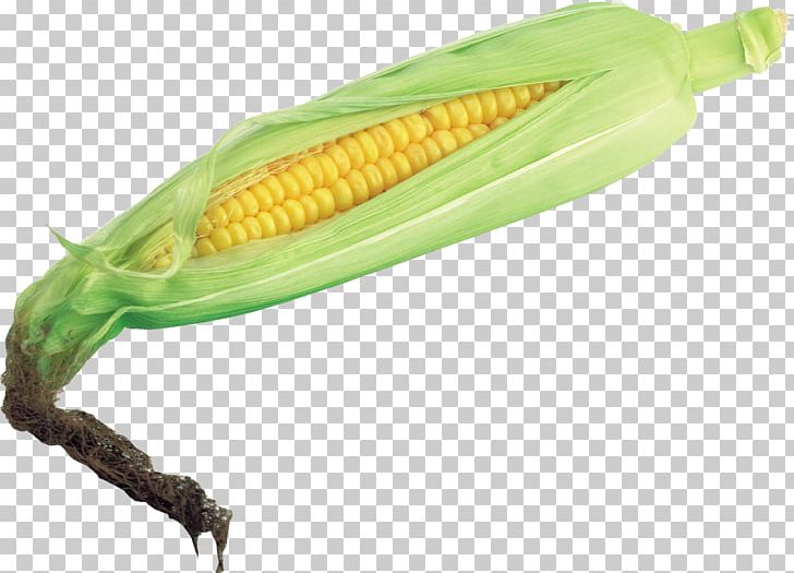 Corn On The Cob Maize Vegetable Husk PNG, Clipart, Cereal, Commodity, Corn, Corn Kernel, Corn On The Cob Free PNG Download