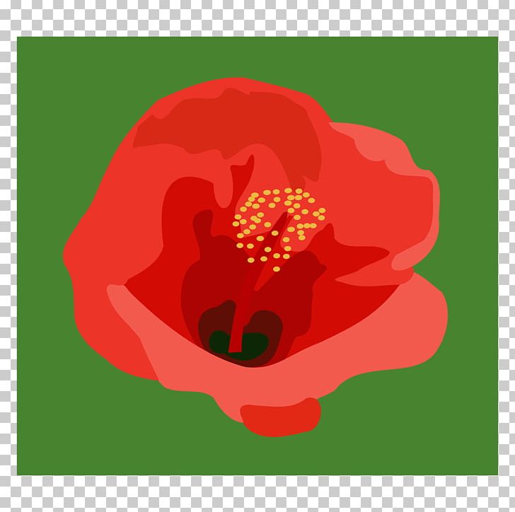 Others Flower Malvales PNG, Clipart, Computer Icons, Coquelicot, Download, Flora, Flower Free PNG Download