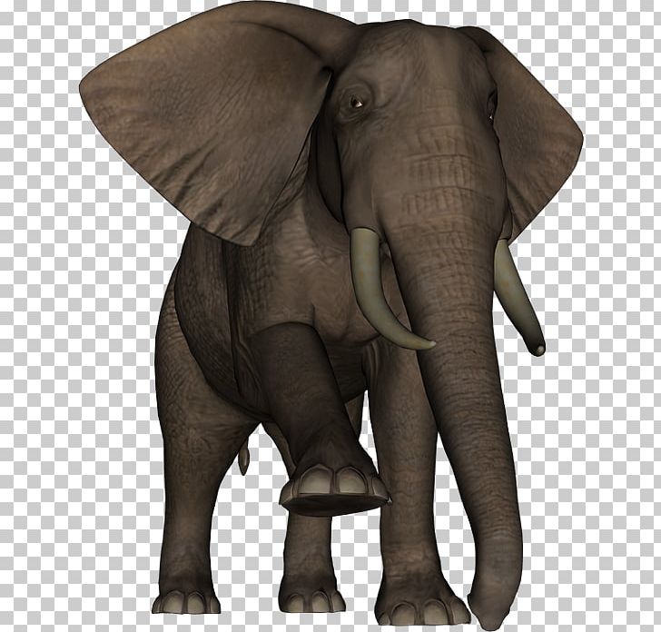 Indian Elephant African Elephant Wildlife Elephantidae Terrestrial Animal PNG, Clipart, African Elephant, Animal, Dieren, Elefant, Elephant Free PNG Download