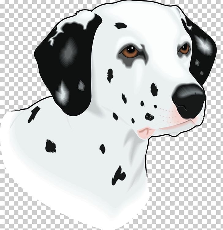 Dalmatian Dog Pongo Perdita Puppy The Dalmatian PNG, Clipart, Bull Terrier Cartoon, Carnivoran, Companion Dog, Dalmatian, Dalmatian Dog Free PNG Download