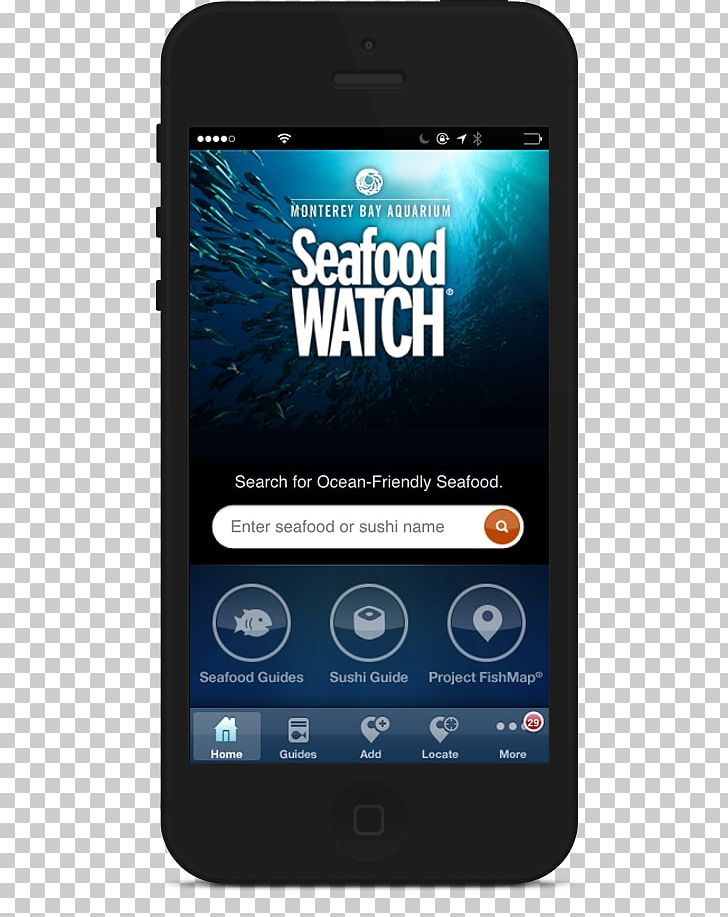 Feature Phone Smartphone Handheld Devices Multimedia Seafood Watch PNG, Clipart, Brand, Cellular Network, Communication Device, Electronic Device, Electronics Free PNG Download