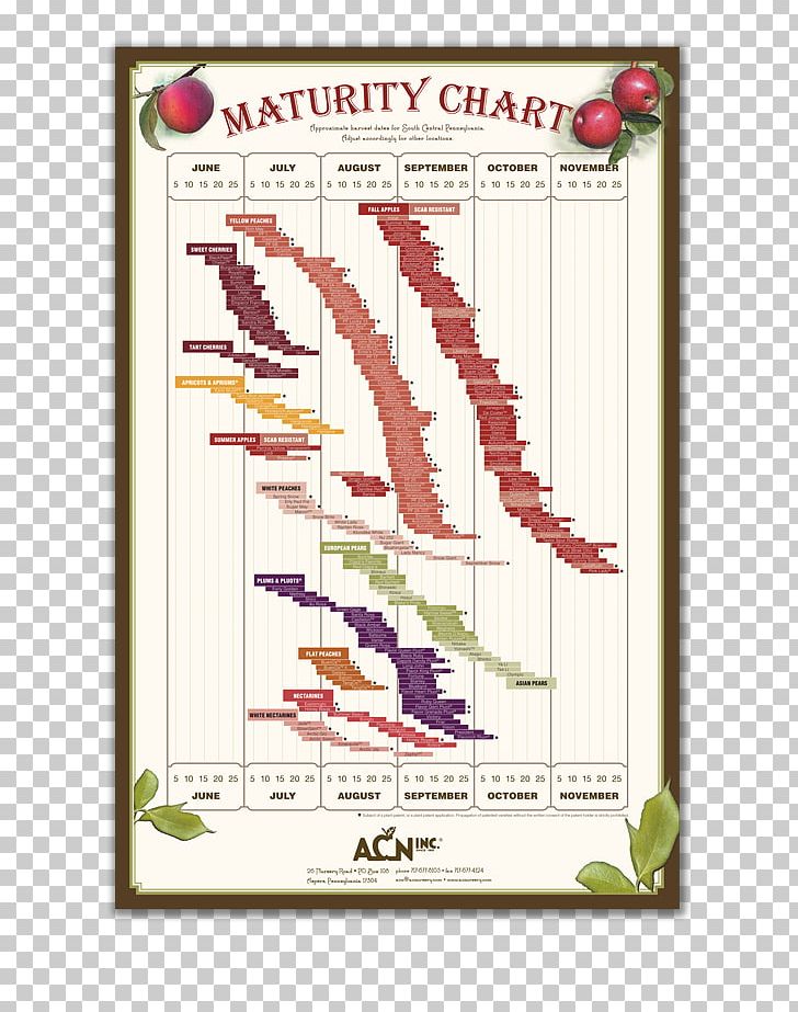 Harvest Fruit Tree Food PNG, Clipart, Art, Calendar, Creative Arts, Crop Yield, Flower Free PNG Download