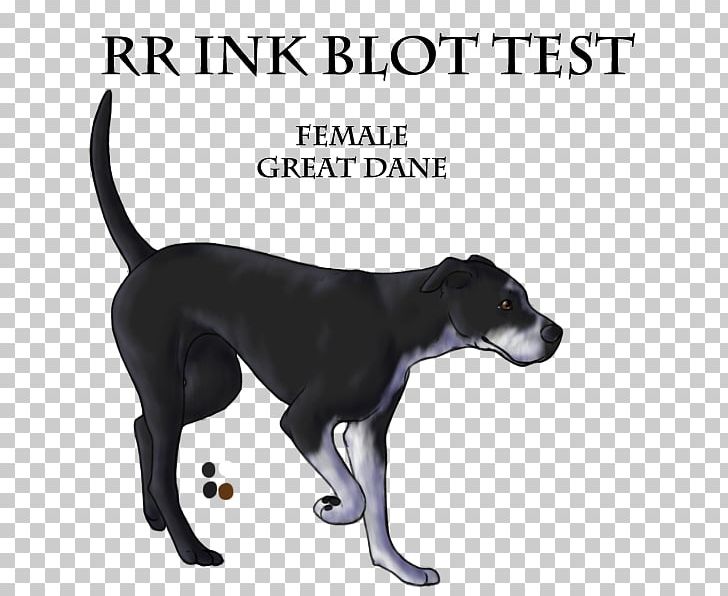 Lurcher Italian Greyhound Sloughi Whippet PNG, Clipart, 08626, Breed, Carnivoran, Dog, Dog Breed Free PNG Download