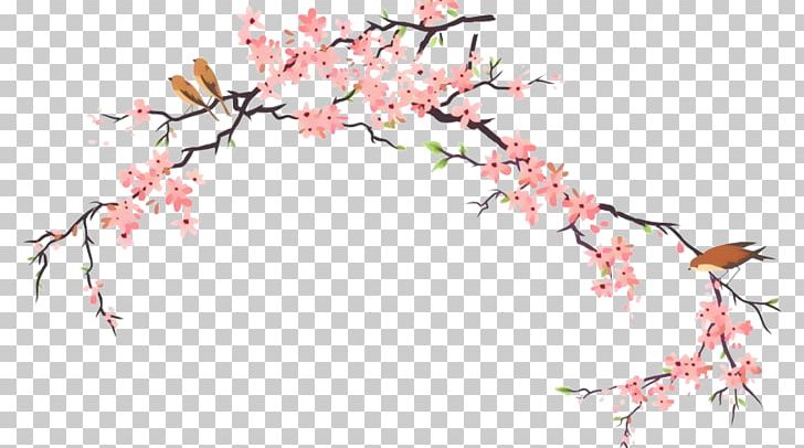 National Cherry Blossom Festival Branch PNG, Clipart, Ameixeira, Bing Cherry, Blossom, Branch, Cherry Free PNG Download