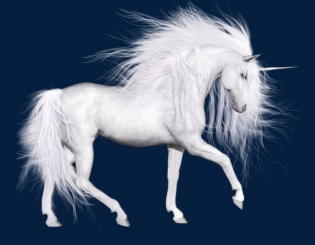 Pure White Unicorn PNG, Clipart, Animal, Fairy, Fairy White Horse, Horse, Pure Clipart Free PNG Download