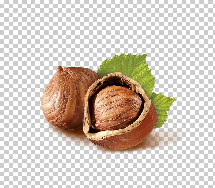 Walnut Hazelnut Common Hazel Dried Fruit PNG, Clipart, Amelie, Auglis, Calybium And Cupule, Chestnut, Coffee Roasting Free PNG Download