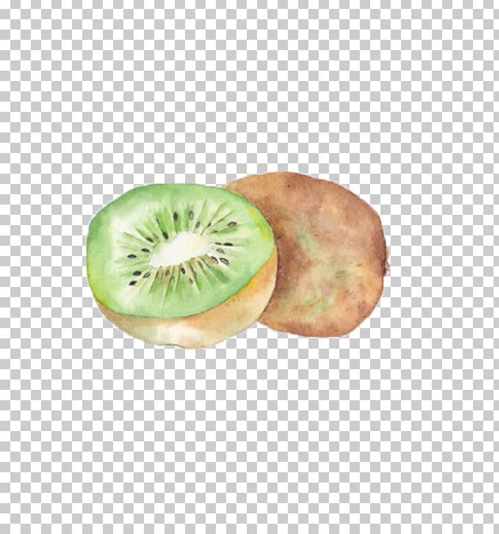 Kiwifruit Watercolor Painting PNG, Clipart, Actinidia Deliciosa, Color, Drawing, Food, Fruit Free PNG Download