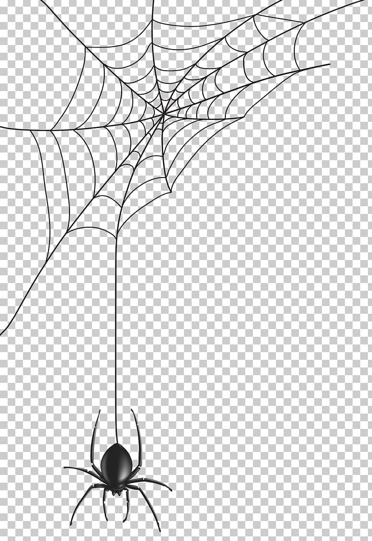 Spider Web PNG, Clipart, Area, Artwork, Black And White, Branch, Brown Recluse Spider Free PNG Download