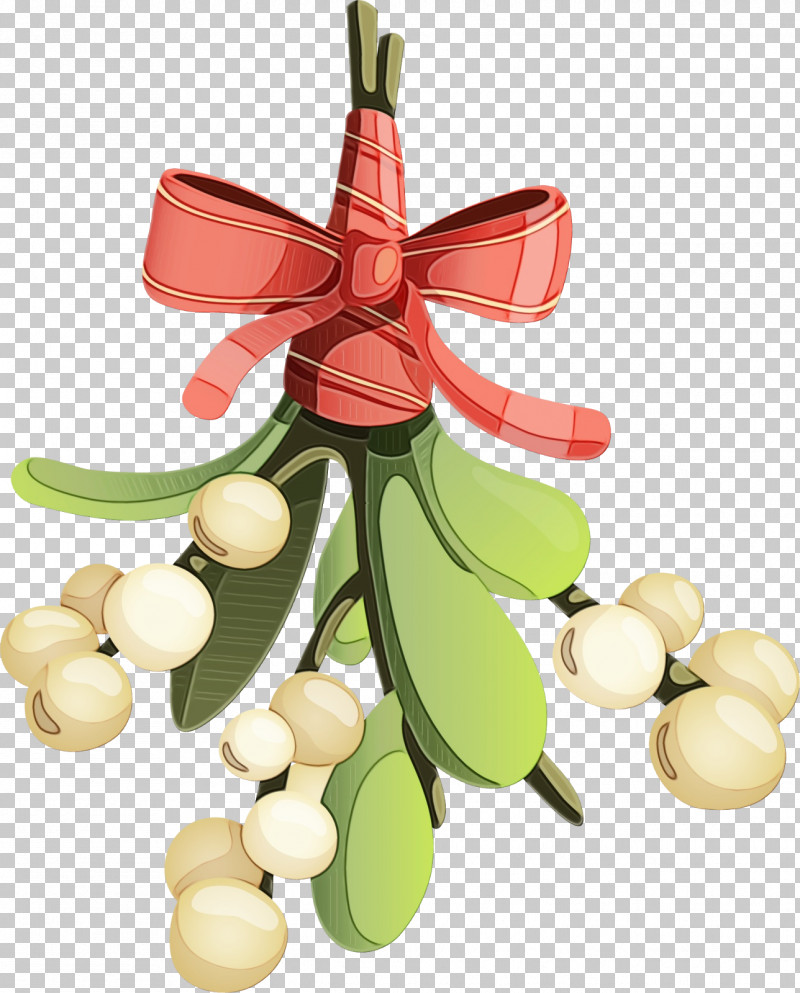 Christmas Ornament PNG, Clipart, Christmas Ornament, Leaf, Money, Paint, Plant Free PNG Download