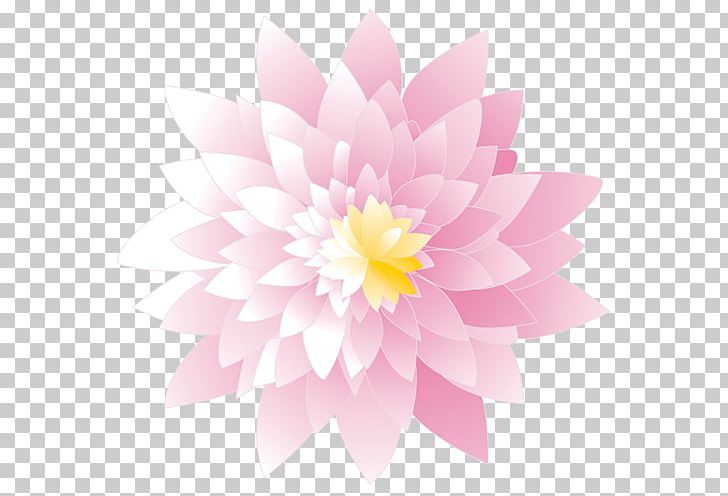 Dahlia Floral Design Chrysanthemum Petal PNG, Clipart, Art, Chrysanthemum, Chrysanths, Dahlia, Daisy Family Free PNG Download