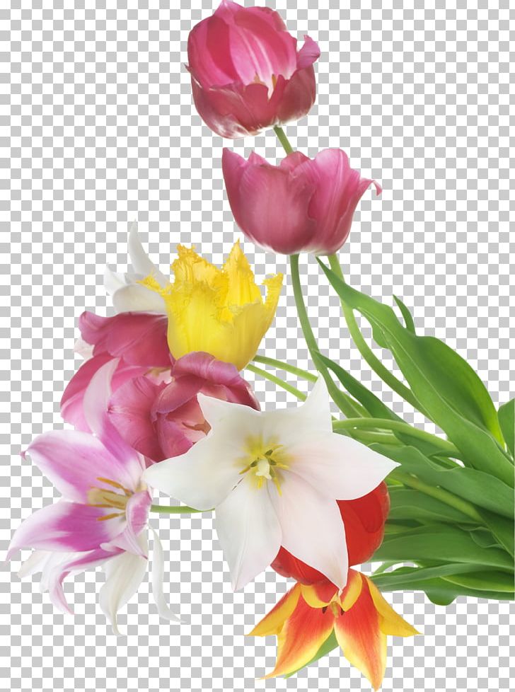 Stock Photography Flower Tulip PNG, Clipart, Artificial Flower, Desktop Wallpaper, Floral Design, Floristry, Flower Free PNG Download