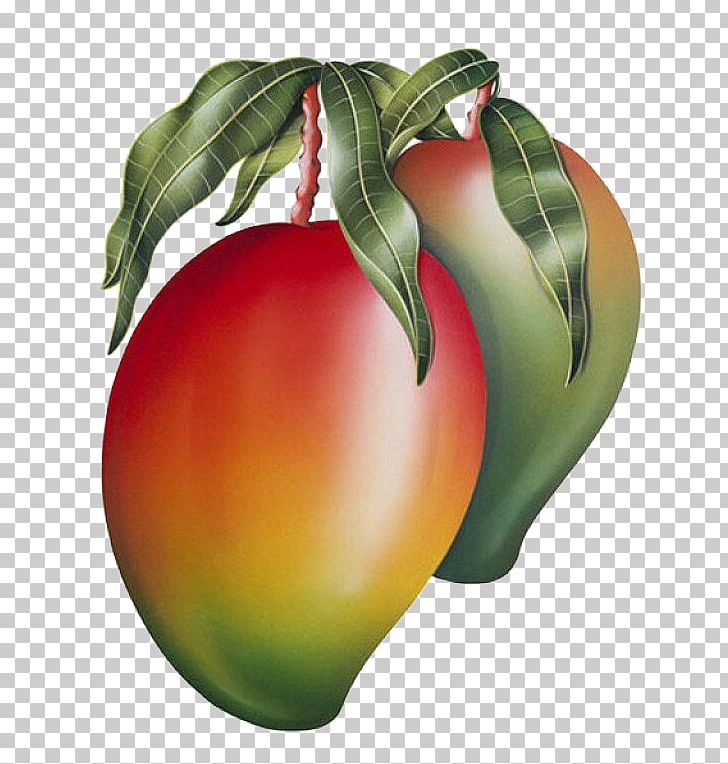 Tomato Fruit Mango Painting Vegetable PNG, Clipart, Apple, Art, Auglis, Bush Tomato, Creative Free PNG Download