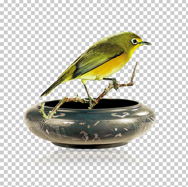 Ashtray Bird Icon PNG, Clipart, Adobe Illustrator, Animals, Art, Ashtray, Beak Free PNG Download