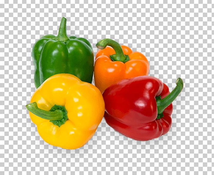 Bell Pepper Vegetable Chili Pepper Food Fruit PNG, Clipart, Bell Pepper, Bell Peppers And Chili Peppers, Bhut Jolokia, Cabbage, Cayenne Pepper Free PNG Download