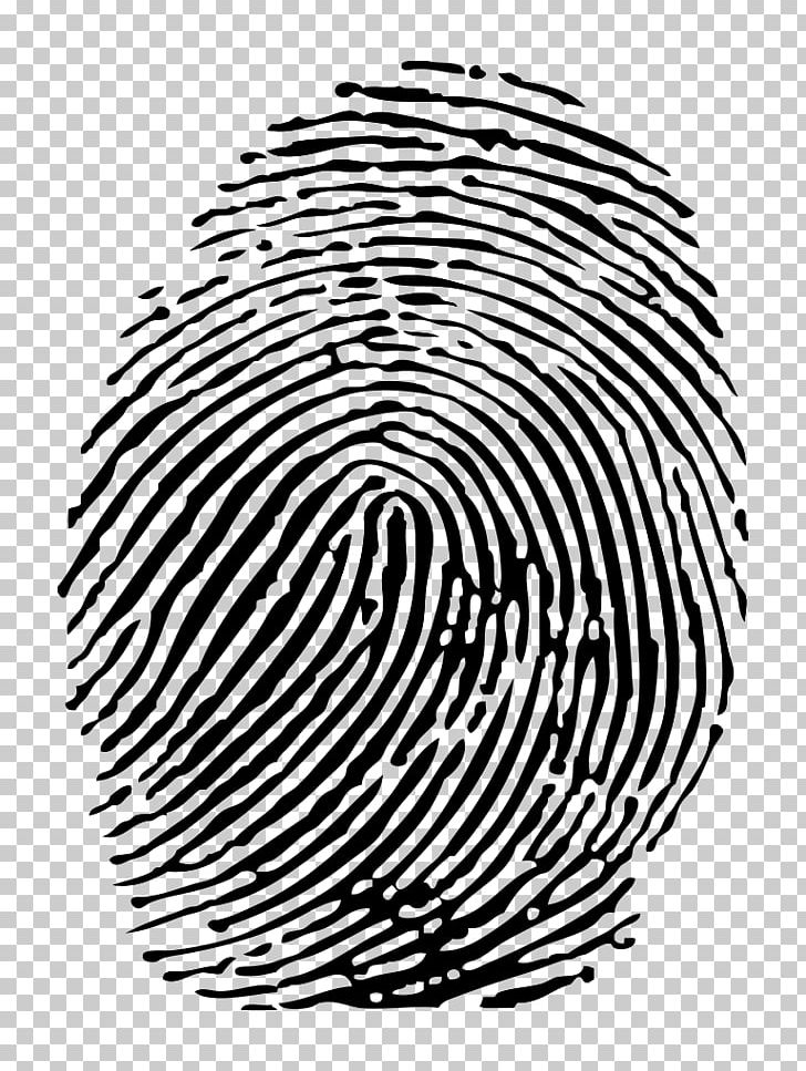 Fingerprint PNG, Clipart, Area, Black And White, Circle, Depositphotos, Drawing Free PNG Download