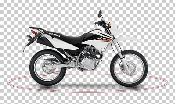 Honda CRF150F Honda XR 150 Motorcycle Honda XR Series PNG, Clipart, Car, Dualsport Motorcycle, Enduro, Engine Displacement, Honda Free PNG Download