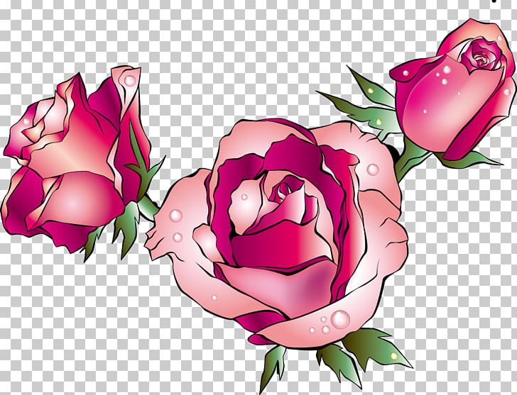 Garden Roses Drawing Floral Design PNG, Clipart, Computer Wallpaper, Floribunda, Flower, Flower Arranging, Magenta Free PNG Download