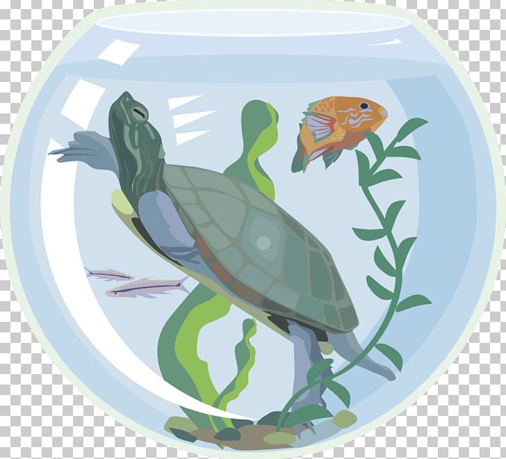 Sea Turtle Aquarium Pet PNG, Clipart, Animal, Animals, Aquarium, Drawing, Ecosystem Free PNG Download