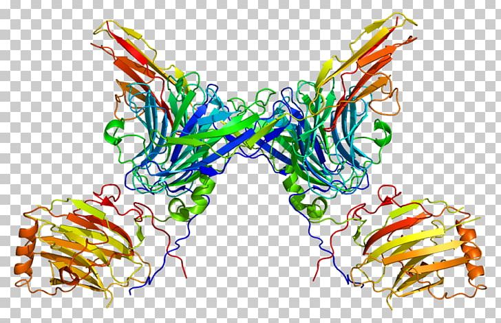 AXL Receptor Tyrosine Kinase Protein Kinase PNG, Clipart, Art, Axl Receptor Tyrosine Kinase, Cell Surface Receptor, Education Science, Gene Free PNG Download