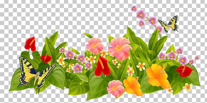 Flower Garden Parterre Lawn PNG, Clipart, Annual Plant, Backyard, Clothes Line, Floral Design, Floristry Free PNG Download