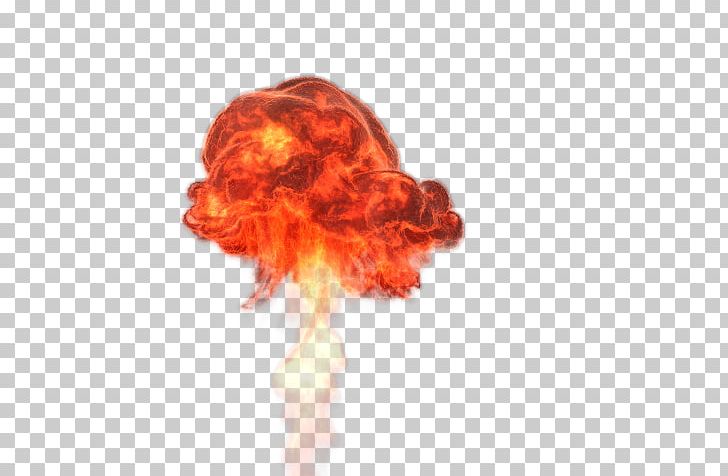 Nuclear Weapon Organism Concept Turbulence PNG, Clipart, Com, Concept, Lightwave, Lightwave 3d, Nuclear Free PNG Download