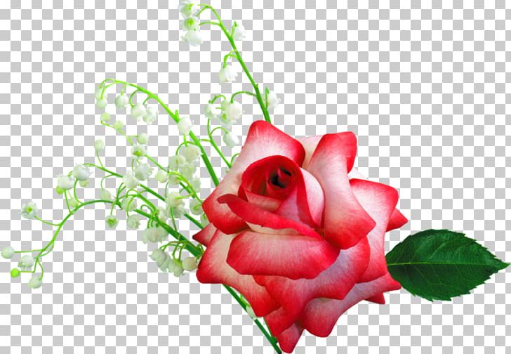 Photography PNG, Clipart, Bride Holding Flowers, Bud, Closeup, Desktop Wallpaper, Flower Free PNG Download
