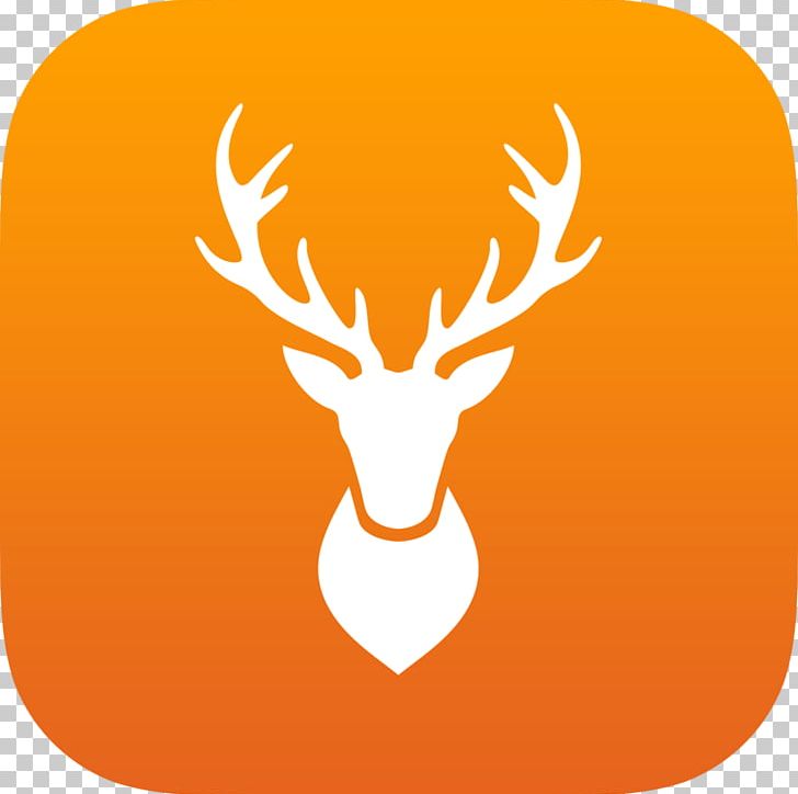 White-tailed Deer Deer Hunting Solunar Theory PNG, Clipart, Animals, Antler, App, Bow And Arrow, Computer Icons Free PNG Download