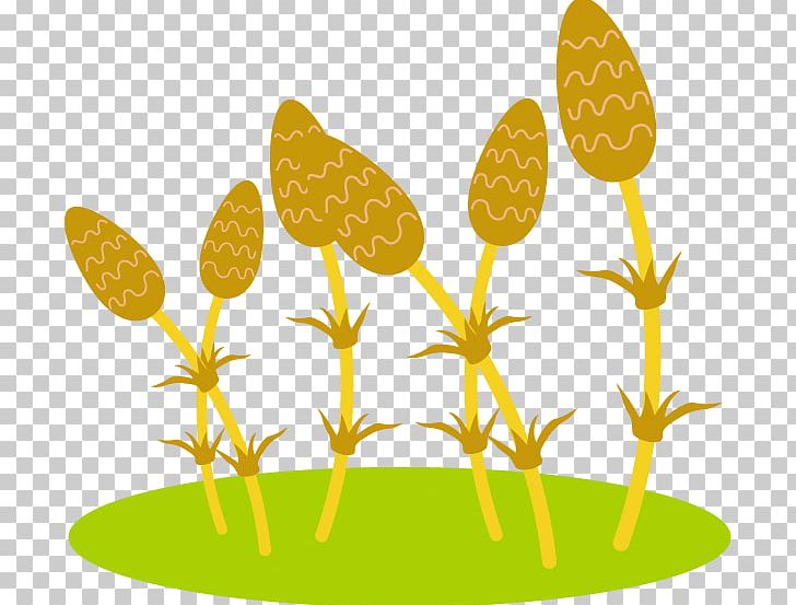 Tsukushi And Green Grass Facing Left. PNG, Clipart, Book, Butterfly, Commodity, Field Horsetail, Flower Free PNG Download