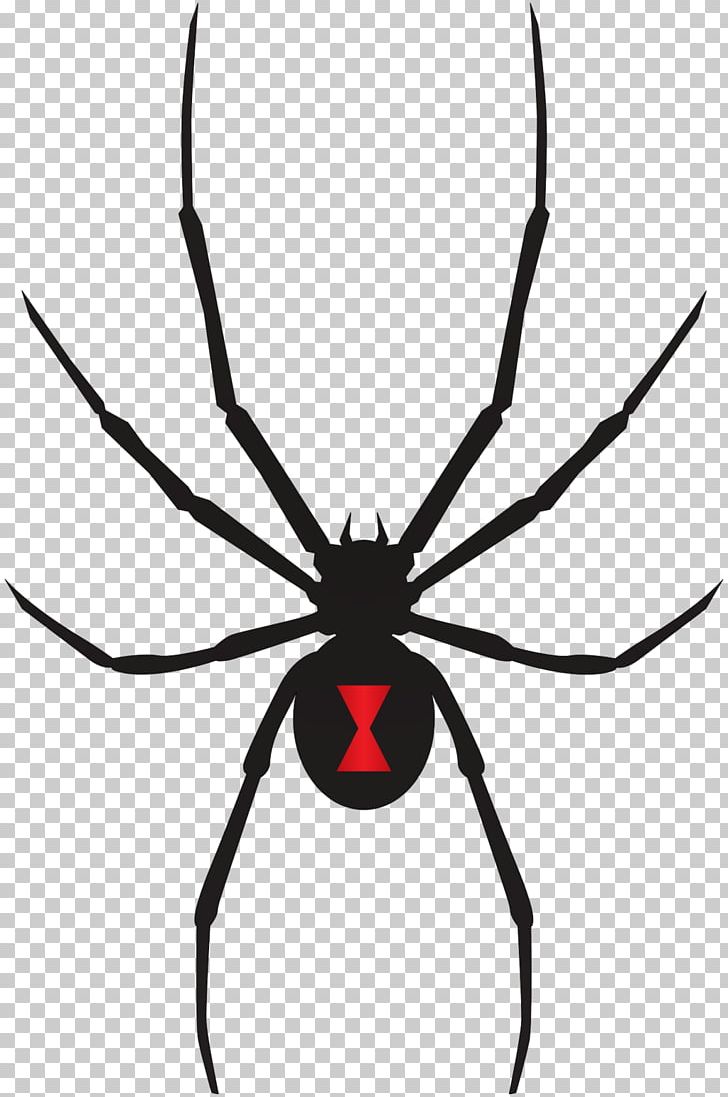 Armed Spiders Southern Black Widow Venom PNG, Clipart, Arachnid, Armed Spiders, Arthropod, Artwork, Black And White Free PNG Download