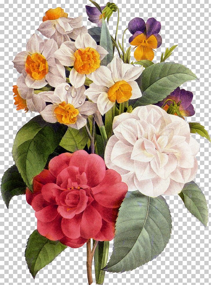 Flower Peony PNG, Clipart, Annual Plant, Artificial Flower, Coreldraw, Cut Flowers, Daffodil Free PNG Download