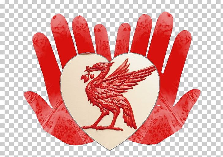 Liverpool F.C. Premier League Football PNG, Clipart, Fifa 16, Finger, Football, Goal, Hand Free PNG Download