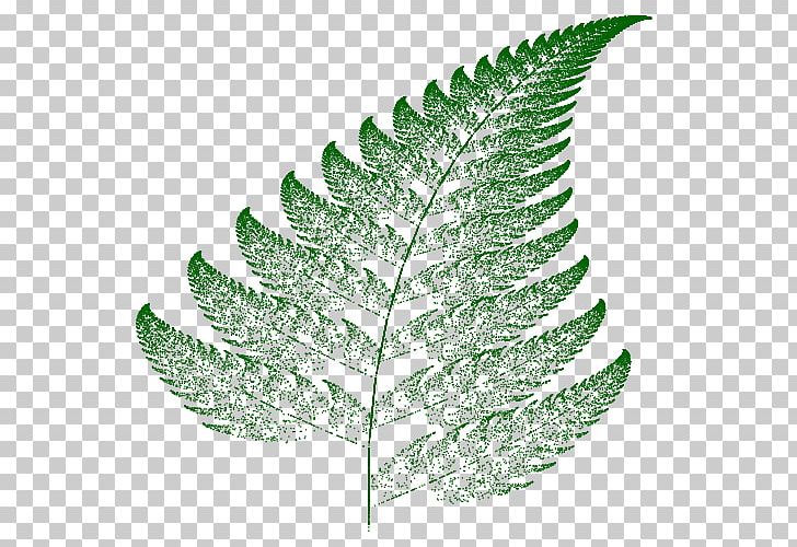 Barnsley Fern Fractal Iterated Function System Self-similarity PNG, Clipart, Affine Transformation, Barnsley Fern, Chaos Game, Chaos Theory, Fern Free PNG Download