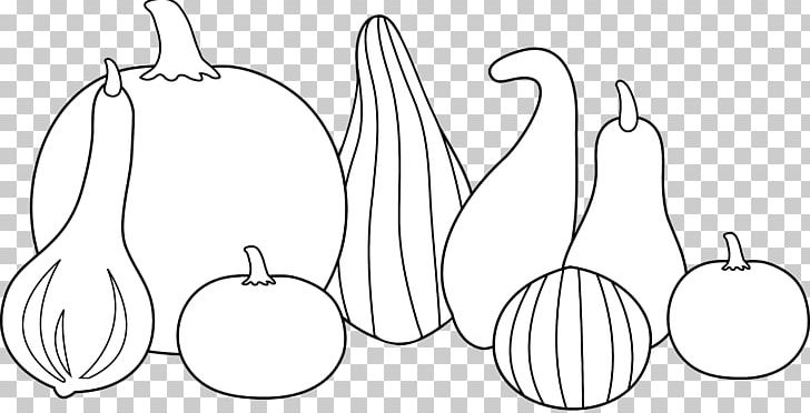 Gourd Pumpkin Cucurbita Vegetable PNG, Clipart, Angle, Area, Art, Calabash, Cartoon Free PNG Download