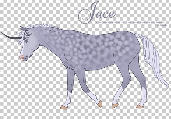 Mane Mustang Stallion Mare Halter PNG, Clipart,  Free PNG Download