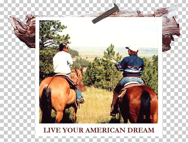 White River Ranch Themar Cowboy Western Riding Equestrian PNG, Clipart, American Dream, Bridle, Cowboy, Equestrian, Horse Free PNG Download