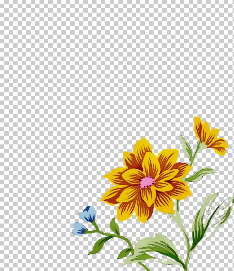 Floral Design PNG, Clipart, Chrysanthemum, Cut Flowers, Engineering, Floral Design, Mace Free PNG Download